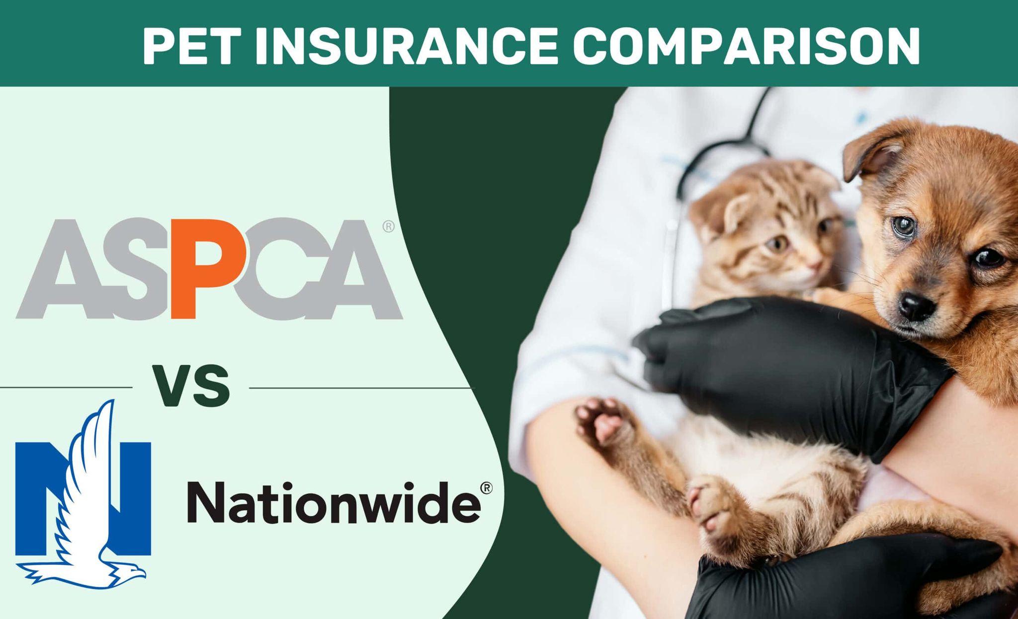 ASPCA vs. Nationwide Pet Insurance Comparison 2026: Pros, Cons, & Verdict
