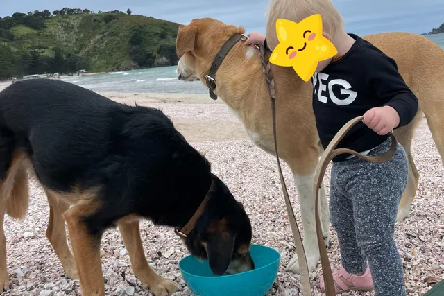 Dogs & Toddlers: Rosa's & Mac's Best Human Friend