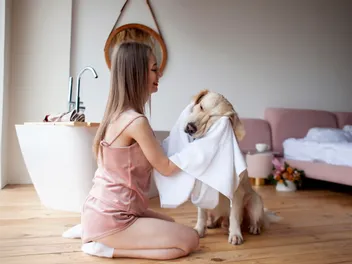 Do Golden Retrievers Need Grooming & How Often? Vet-Approved Tips