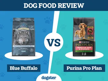 Blue Buffalo vs Purina Pro Plan Dog Food: 2026 Comparison