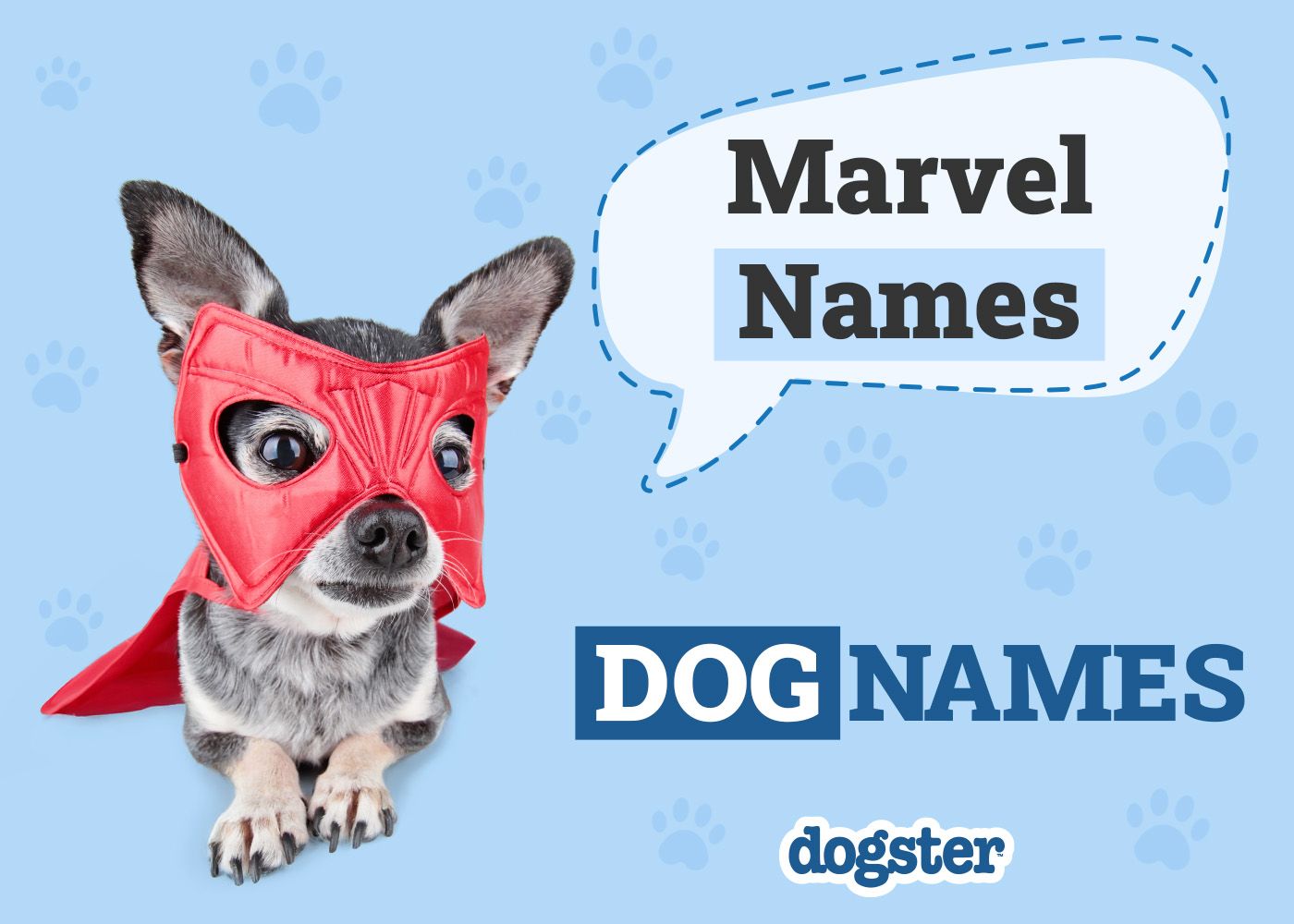 Dogster_Marvel Names