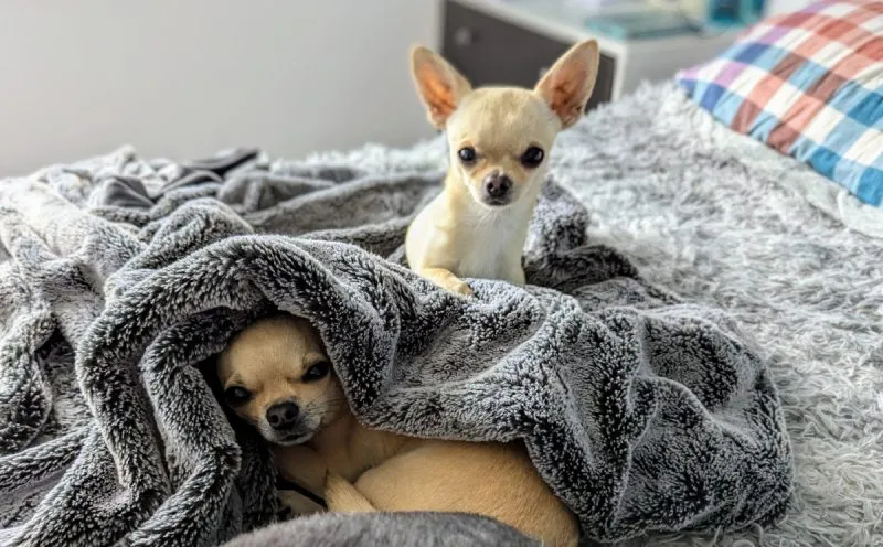 Room for one more?