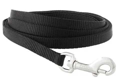Frisco Solid Nylon Dog Leash