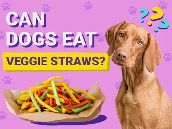 Can Dogs Eat Veggie Straws? Vet-Reviewed Facts & FAQ