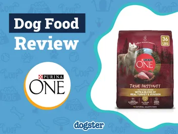 Purina ONE SmartBlend True Instinct Dog Food Review: Pros, Cons, Recalls & FAQ