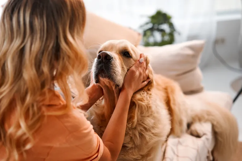 How Do I Know If My Dog Is Healthy? Our Vet Discusses 12 Ways to Tell