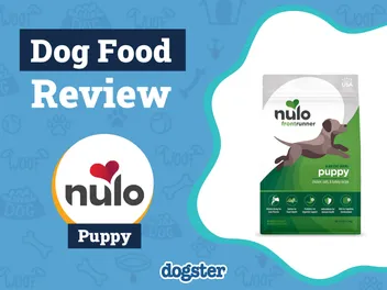 Nulo Puppy Food Review 2026: Recalls, Pros & Cons