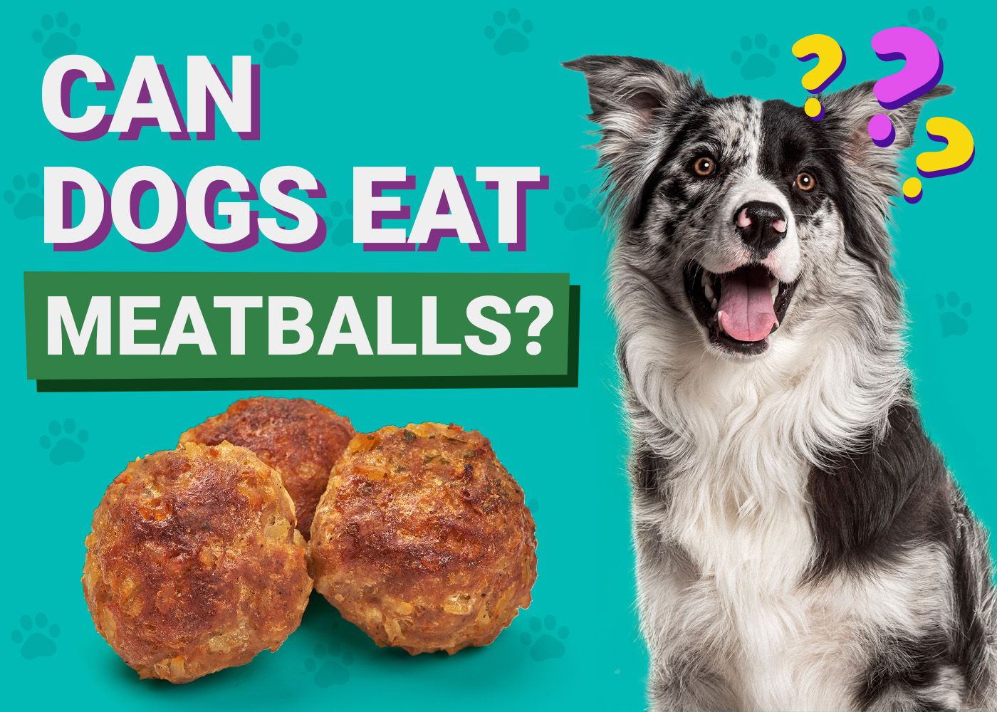 Can Dogs Eat_meatballs