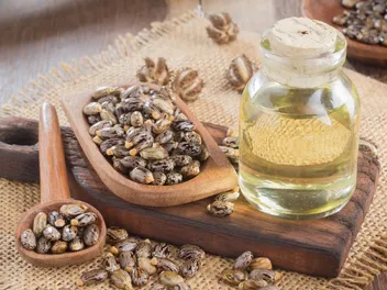 Castor Oil for Dogs: Our Vet Discusses Uses, Safety & Potential Risks