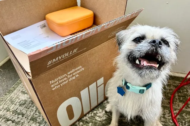 How Much Does Ollie Fresh Dog Food Cost? 2026 Price Guide
