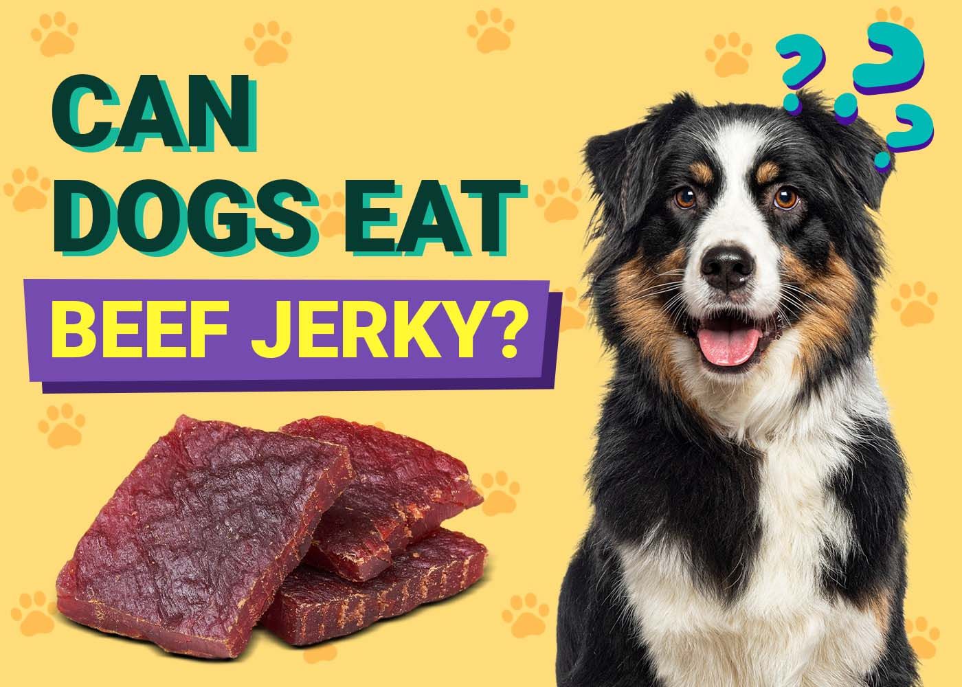 Can Dogs Eat Beef Jerky