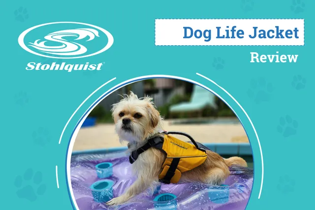 Stohlquist Pup Float Review 2026: An Expert’s Breakdown