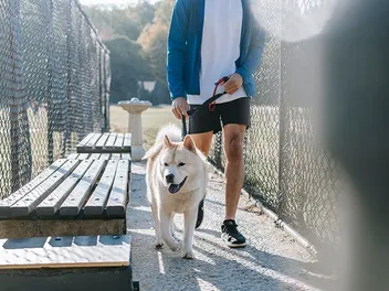 National Walk Your Dog Day 2026: Here's How It's Celebrated