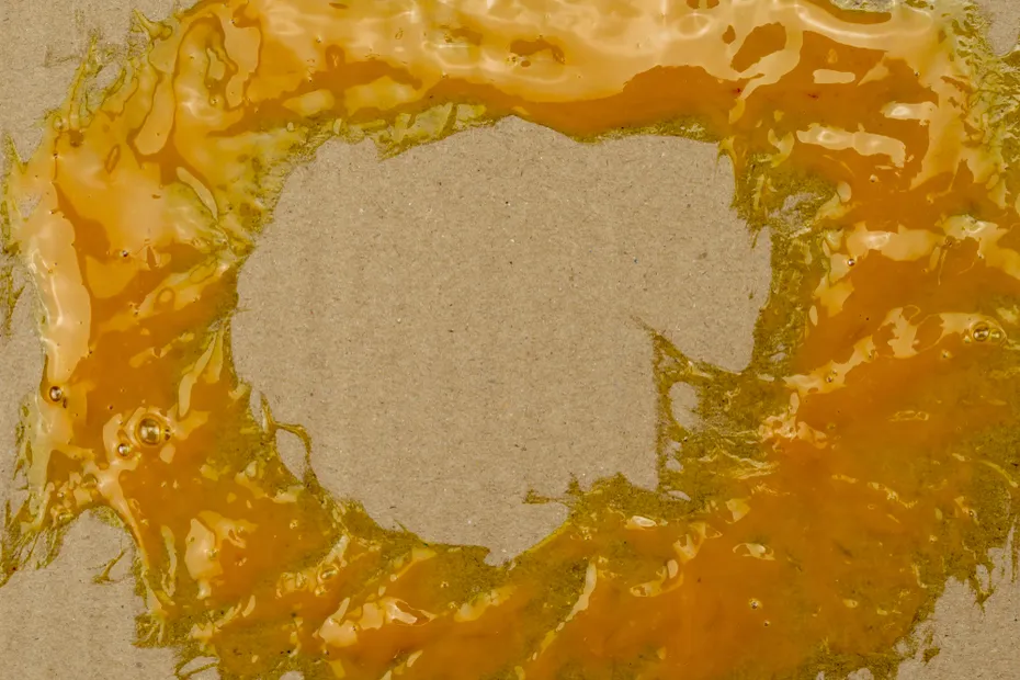 empty glue mouse trap