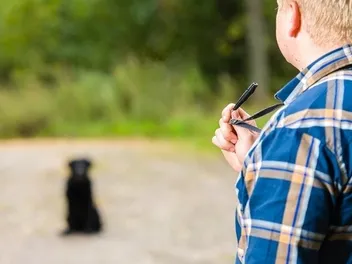 Are Dog Whistles Harmful to Dogs? Vet-Verified Facts & FAQ