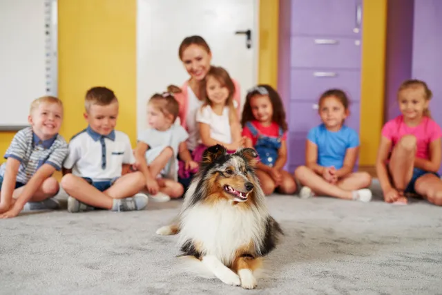 Therapy Dogs in Schools: Vet-Verified Benefits, Uses & FAQ