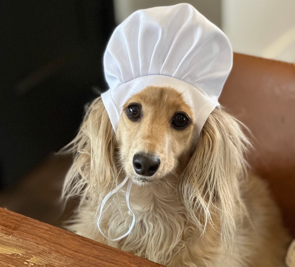 Draper wearing a chef's hat
