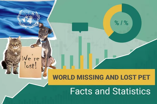 15 Missing Pet Statistics: How Many Pets Are Lost? 2026 Update