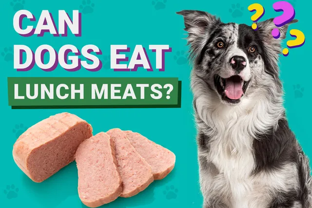 Can Dogs Eat Lunch Meats? Vet-Approved Facts & FAQ