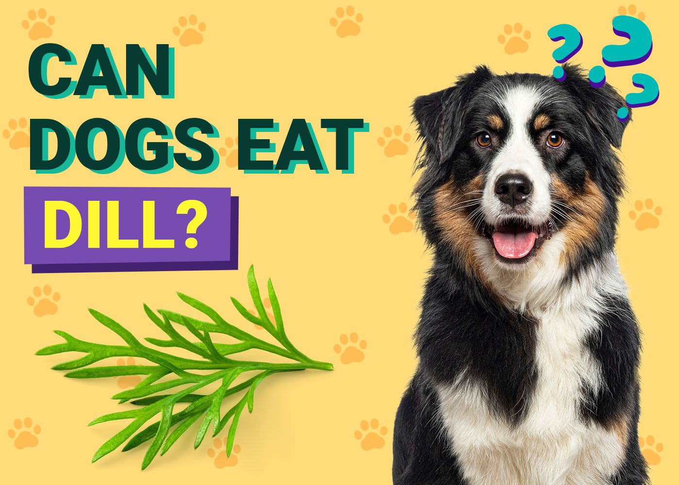 Dogster-Can-Dogs-Eat-Dill