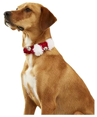 Frisco Jingle Bells Dog &amp; Cat Holiday Collar with Bells