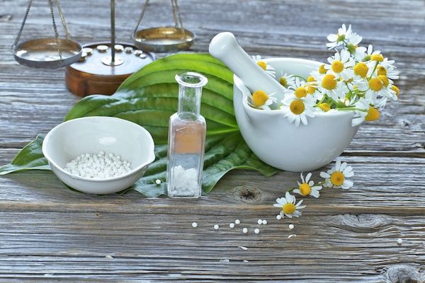 5 Common Misconceptions About Homeopathic Veterinary Care