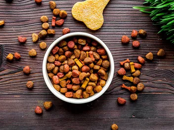 What Is Choline Chloride in Dog Food? Vet-Approved Facts & Benefits