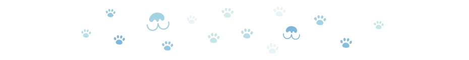divider dog paws 4 oct 2024