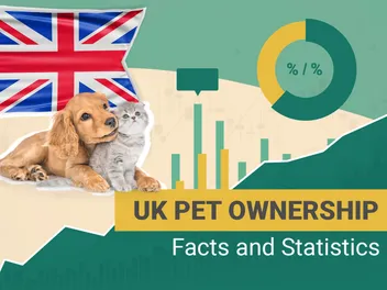 20 UK Pet Ownership Statistics in 2026: General & Regional Facts