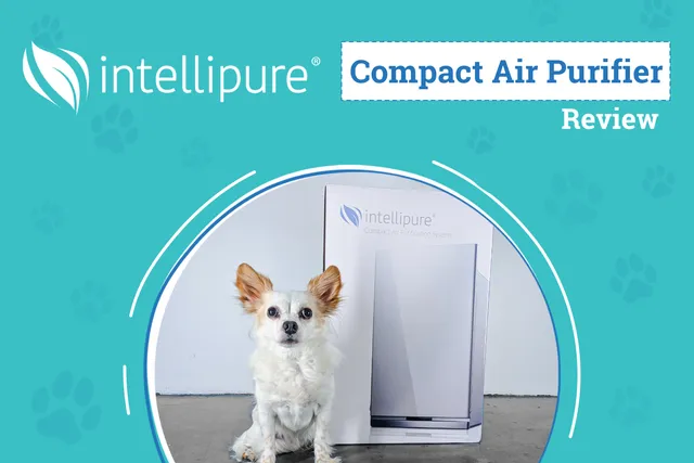 Intellipure Compact Air Purifier Review 2026: Next-Gen Filtration in a Compact Shell