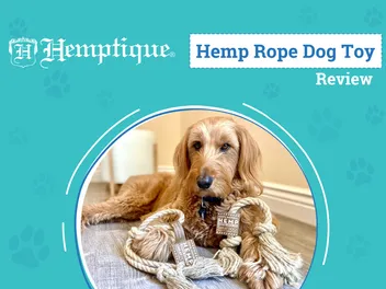 Hemptique Dog Toys Review 2026: A Sustainable Solution to Playtime with Your Pup