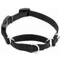 Frisco Martingale Dog Collar