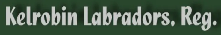 kelrobin
