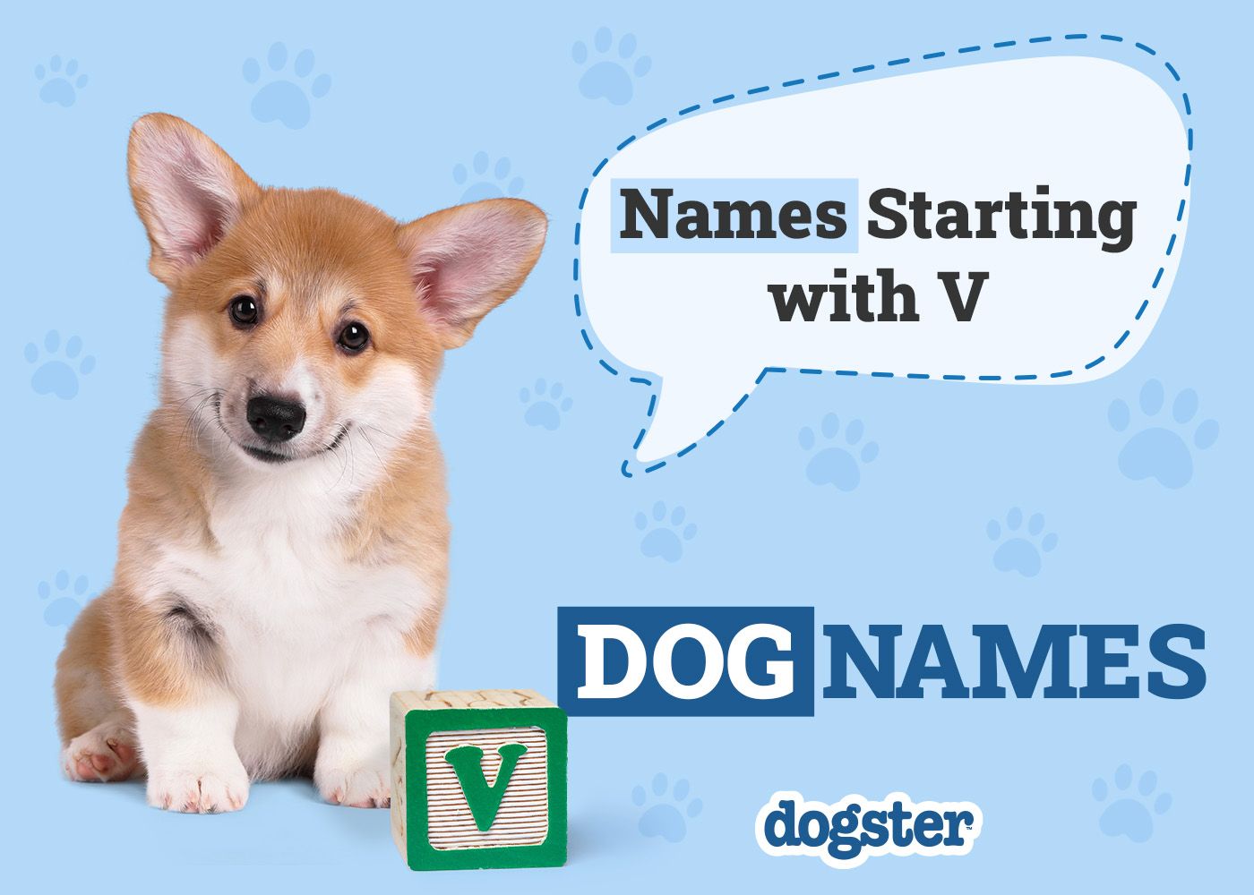 Dogster_Names Starting with V