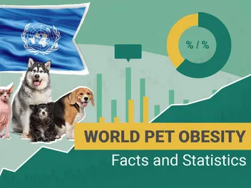 10 Pet Obesity Statistics Know in 2026: Dogs, Cats & Other Pets