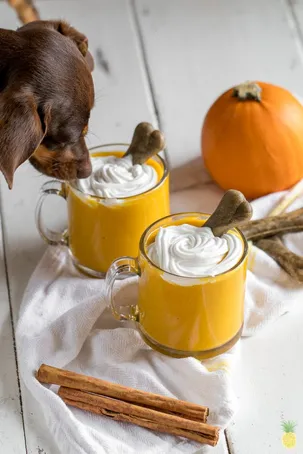 Puppy Spice Latte