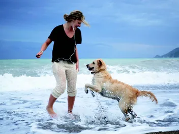 13 Vet-Approved Dog Beach Rules For A Great Day Out With Your Pup