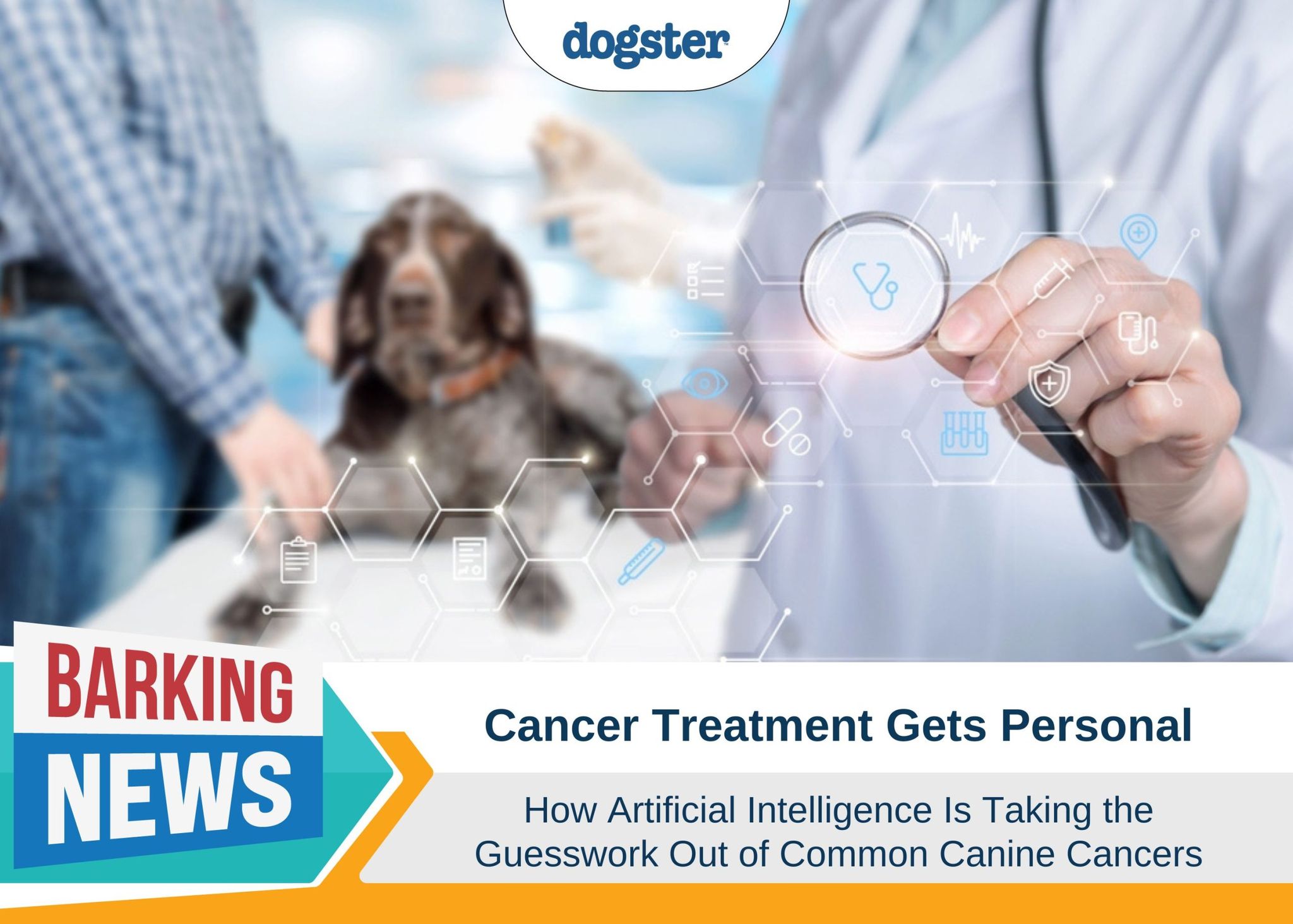 Dogster_Barking News AI and cancer care