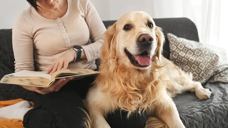 girl with golden retriever dog reading book sitting on sofa at home