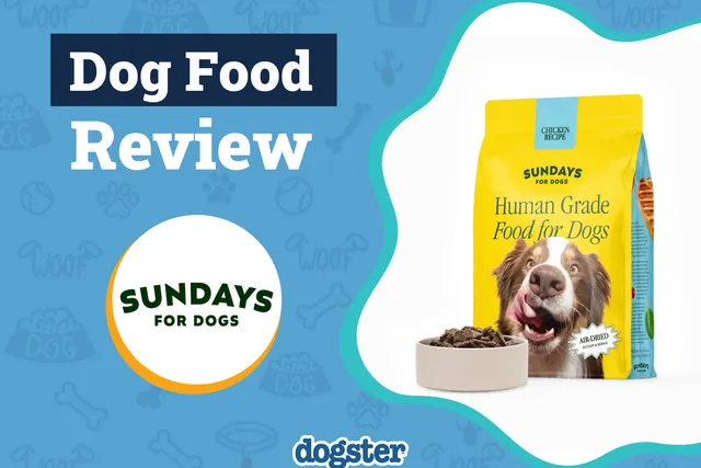 Sundays for Dogs Food Review 2026: Our Expert’s Opinion