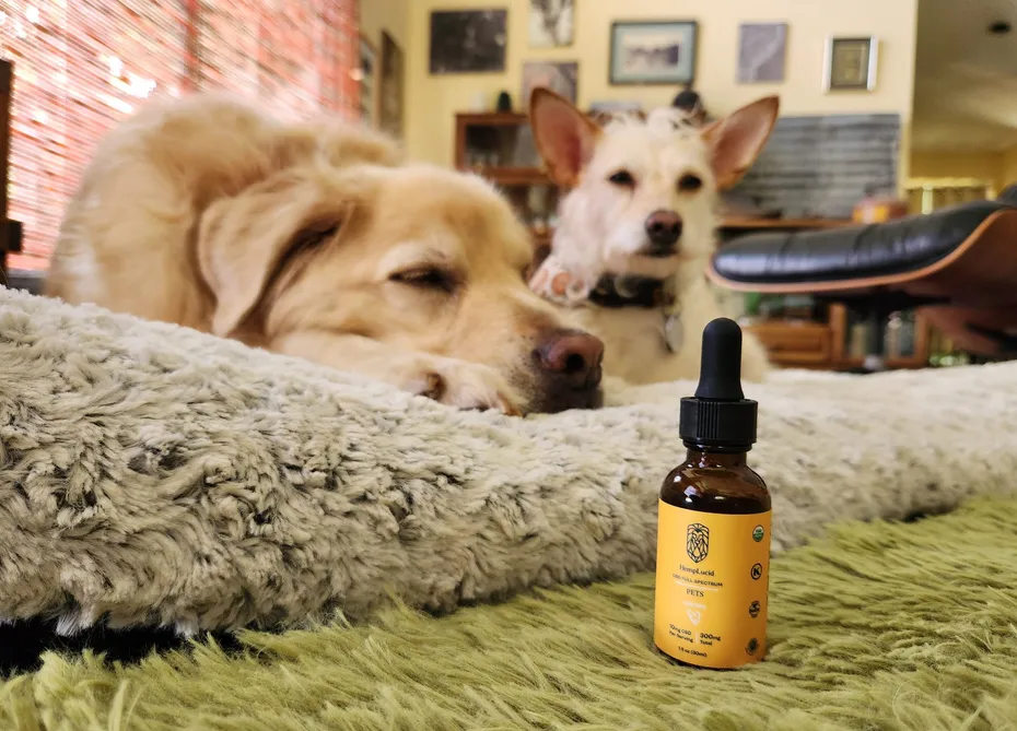 HempLucid CBD Pet Tincture