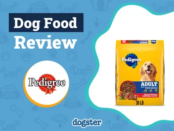 Pedigree Dog Food Review 2026: Recalls, Pros & Cons