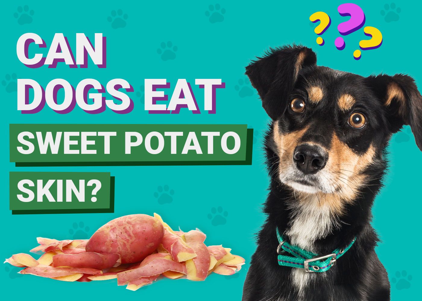 Can Dogs Eat Sweet Potato Skins