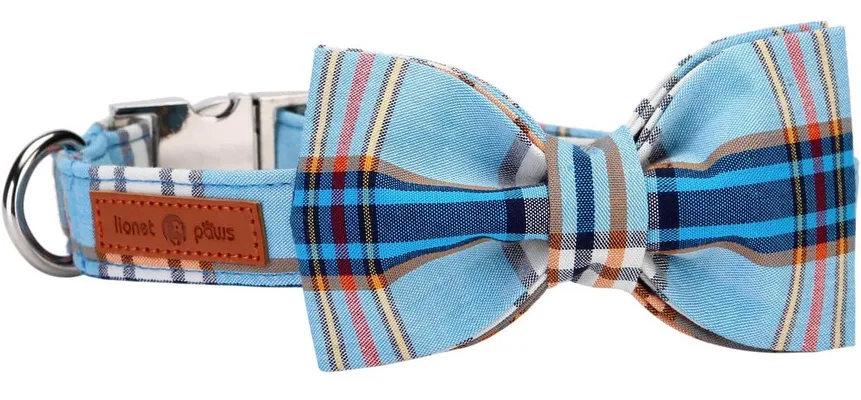 Lionet Paws Dog Collar with Bowtie