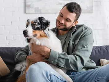 Are Australian Shepherds Hypoallergenic? Important Facts & FAQ