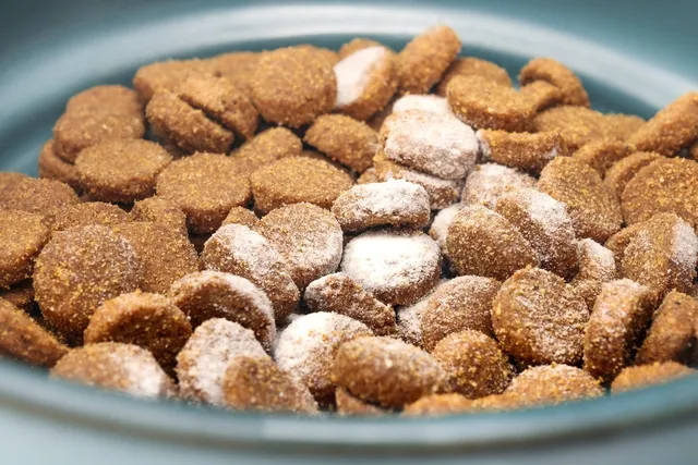 Tylosin for Dogs: Uses, Side Effects & FAQ (Vet Answer)