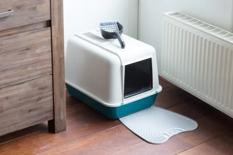 Litter-box-with-cover