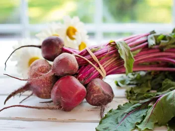 Can Dogs Have Beets? Vet-Reviewed Nutritional Facts & FAQ