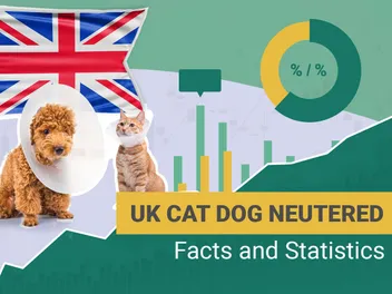 How Many Dogs and Cats Are Neutered in the UK? 2026 Statistics