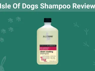 Isle of Dogs Shampoo Review 2026: Our Expert Opinion